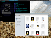 Tiling window manager Slackware com zen-kernel